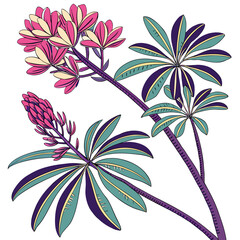 euphorbia with leaves