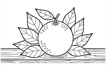 Fototapeta premium Citrus Fruit Line Art Design for Agriculture, Orchard, and Nature Projects