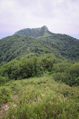 Fototapeta premium Mountain ridge covered with dense forest, featuring a lone rock at the summit
