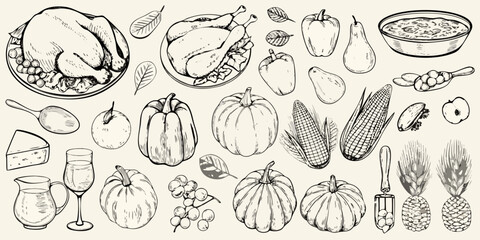 Hand drawn thanksgiving harvest food elements featuring roasted turkey pumpkins corn and grapes