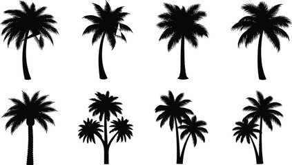 Palm tree silhouette collection showcasing tropical diversity, botanical structure, trunk variation, leaf shape, exotic foliage, and environmental illustration design set.