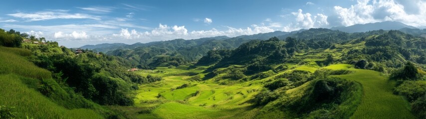Fototapeta premium Scenic hdr 360-degree panoramic view of peaceful rice fields in nature