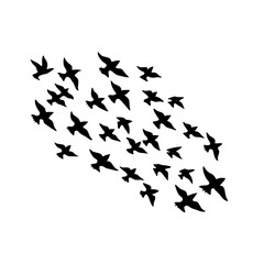 Bird Migrating Formation – Vector Silhouette Illustration