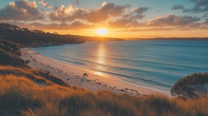 Golden sunset over calm sandy beach

