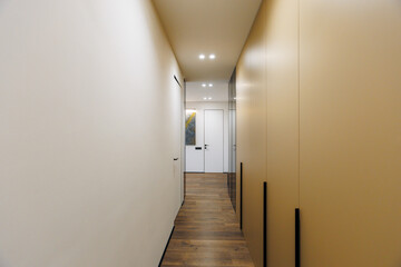 A Modern Hallway that Features an Elegant Design and Showcases a Minimalist Aesthetic