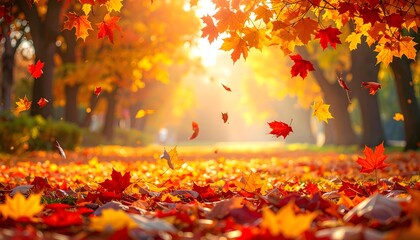 Bright autumn trees with colorful fall leaves in park landscape