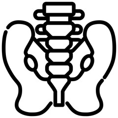 Pelvis outline icon displays a stylized black and white icon illustration of the human pelvis and spine.