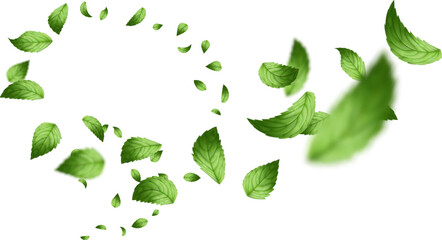 Vibrant green mint leaves swirling and falling dynamically on a pure white background. Focus on sharp detail and realistic motion blur 