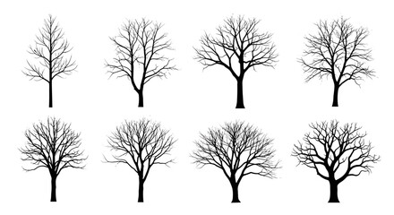 Collection of eight distinct bare deciduous trees silhouetted against a white background.