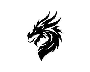 Dragon head vector