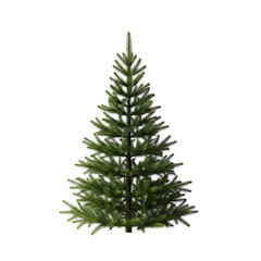 A tall, conical green fir tree with dark green needles stands isolated against a white background, perfect for holiday decorations and winter scenes