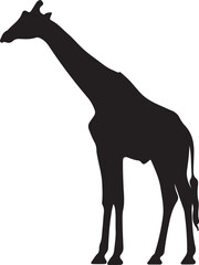 Giraffe silhouette, standing giraffe silhouette on white background