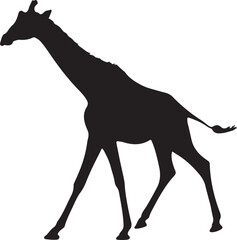 Giraffe silhouette, standing giraffe silhouette on white background
