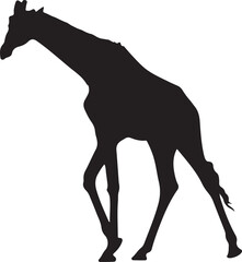 Giraffe silhouette, standing giraffe silhouette on white background
