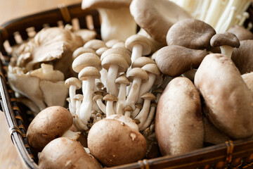 キノコ盛り合わせ