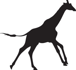 Giraffe silhouette, standing giraffe silhouette on white background