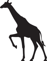 Giraffe silhouette, standing giraffe silhouette on white background