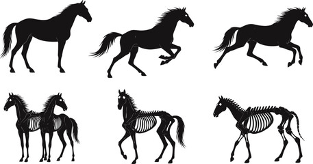 Horse and zombie skeleton horse silhouettes running, walking, and standing for Halloween horror fantasy spooky undead creature vector illustration design.
