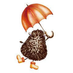 Adorable hedgehog in orange rubber boots stands on one leg with its back turned with umbrella .Hand-drawn illustration in watercolor and colored pencils in a childlike cartoon style