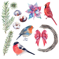 Christmas set of bullfinch, cardinal, robin, spruce branch, cotton, wreath, red bow and poinsettia. Watercolor illustration on white background, hand-painted constructor for creating a Christmas card