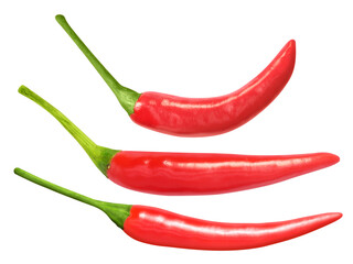 Red chili pepper isolated on white background
