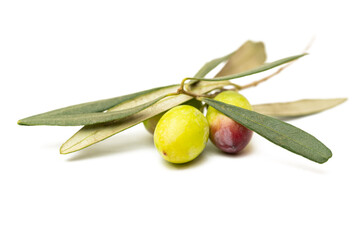 A branch with olives isolated