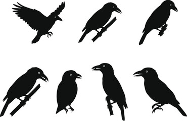 Silhouette vector illustration of black birds perched on branches and flying, crow shapes collection for nature, wildlife, art, and design projects.