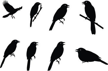 Silhouette vector illustration of black birds perched, flying, and sitting on branches, crow shapes collection for wildlife, nature, art, and design.