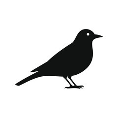 Black silhouette of a bird with an eye on a white background