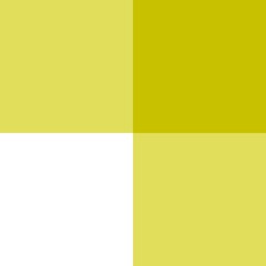 Obraz premium green gingham fabric 