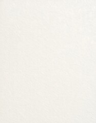 Fototapeta premium Abstract soft white texture