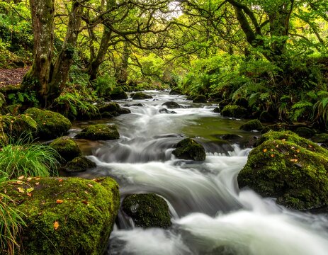 A flowing river surrounded by mossy rocks and lush foliage - Powered by Adobe