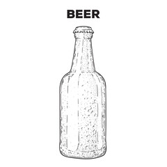 Bottle of beer sketch. Hand drawn vector illustration. Gastropub, gastrobar, pub.,drink beer. Detailed design element.
