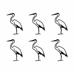 Six herons standing in a group, creating a visually appealing pattern
