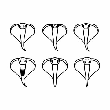 Collection of cobra illustrations, showcasing diverse styles and perspectives of the snake