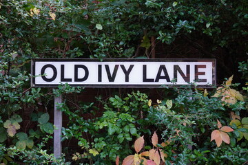 Old Ivy Lane road name sign and destination. 