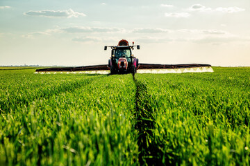 Tractor spraying wheat crop field protecting plant growth