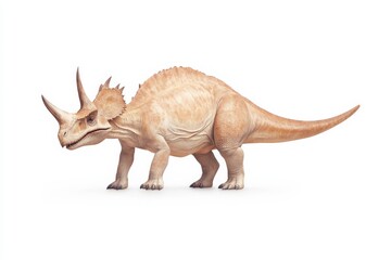 Fototapeta premium Realistic depiction of styracosaurus dinosaur on white background for educational use