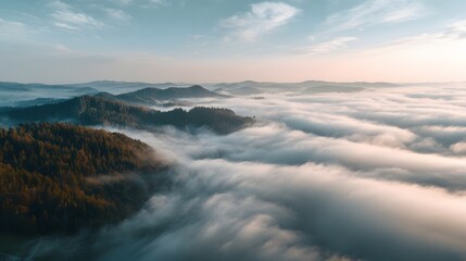 Obraz premium Serene landscape showcasing rolling hills shrouded in a thick layer of fog, with the sun's gentle light creating a soft, dreamy atmosphere and highlighting the trees.