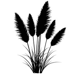 Silhouette of pampas grass plumes elegant botanical design for decorative use silhouette flat design vector illustration white background