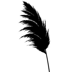 Elegant black silhouette of pampas grass plume for natural and decorative design projects silhouette flat design vector illustration white background