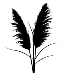 Silhouette of tall grass plumes elegant and minimalist botanical design for natural ambiance silhouette flat design vector illustration white background