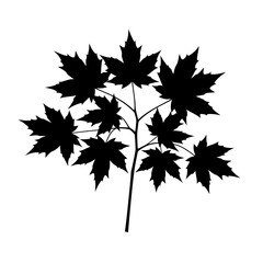 Black silhouette of a maple tree branch with multiple leaves for natural and seasonal designs silhouette flat design vector illustration white background