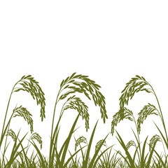 Golden green rice stalks swaying gently in the breeze agricultural field horizon silhouette flat design vector illustration white background
