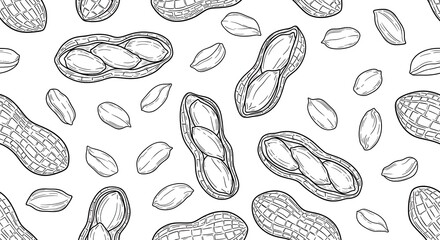 Seamless Pattern of Hand Drawn Peanuts and Shells in Sketch Style.