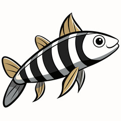 fish on a white background