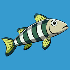 vector illustration of a fish