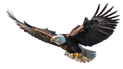 Naklejka premium Bald Eagle in Flight with Wings Spread 