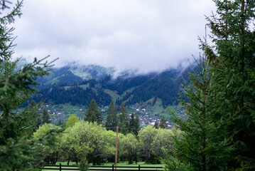 Carpathian Mountains. Clouds low above the mountains covered with spruce forests. City in the Carpathian Mountains.
