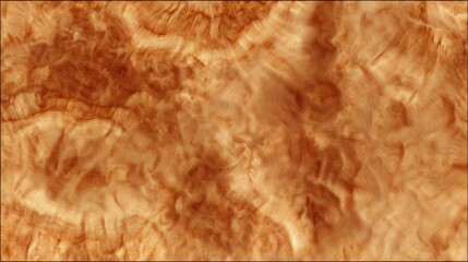 Free natural burl wood grain texture